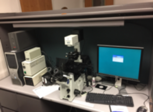 Olympus IX 71 Inverted Microscope with SPOT RT Slider Camera