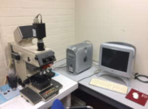 Olympus Vanox AH2 Upright Microscope with SPOT Insight Camera